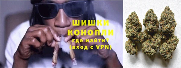 ПСИЛОЦИБИНОВЫЕ ГРИБЫ Касимов