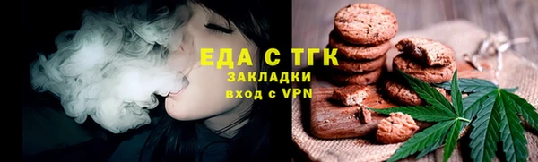 индика Кинешма