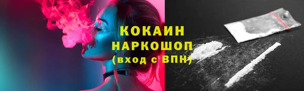 шишки Карпинск