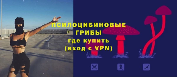 ПСИЛОЦИБИНОВЫЕ ГРИБЫ Касимов