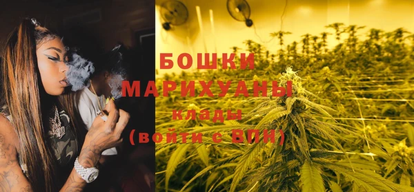 шишки Карпинск