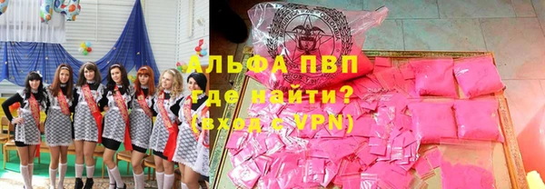 шишки Карпинск