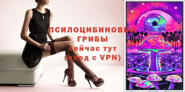 шишки Карпинск