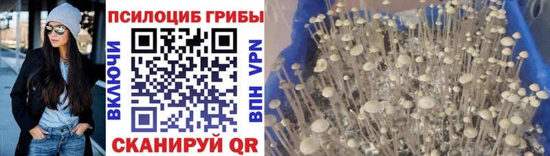 Купить где Макарьев Галлюциногенные грибы прущие грибы