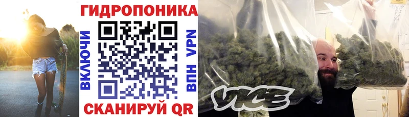 Бошки Шишки конопля  Купить закладки  Макарьев 